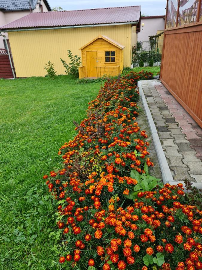 Brusy Rodzinny Apartament Na Kaszubach מראה חיצוני תמונה