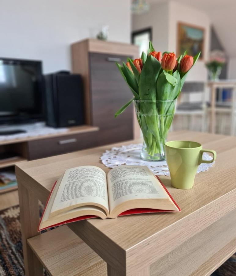 Brusy Rodzinny Apartament Na Kaszubach מראה חיצוני תמונה
