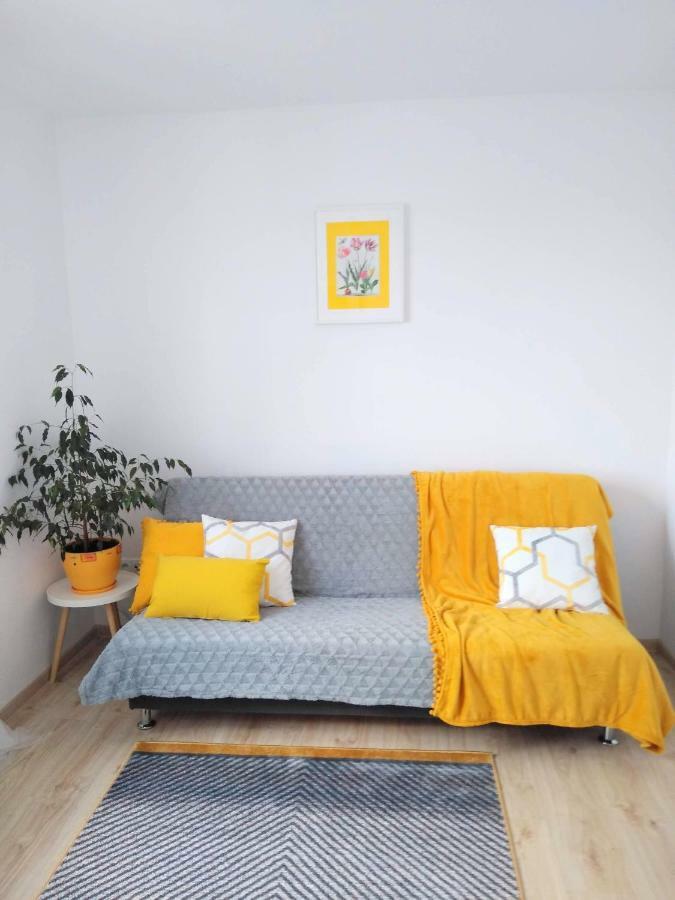 Brusy Rodzinny Apartament Na Kaszubach מראה חיצוני תמונה